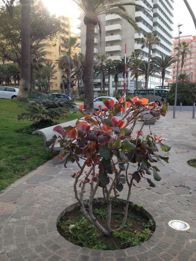 Martianez Apartman Puerto de la Cruz Kültér fotó
